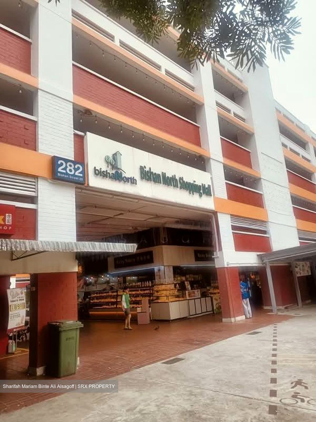 Blk 259 Bishan Street 22 (Bishan), HDB 4 Rooms #579774321